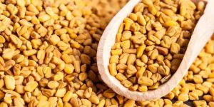 Fenugreek Seed