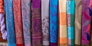 Pashmina Shawls