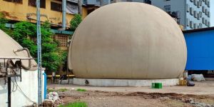 Double Membrane Standalone Balloons