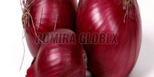Fresh Red Onion