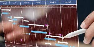 Schedule Management Service