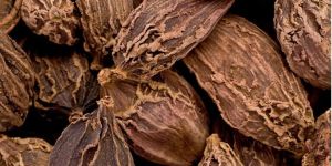 Black Cardamom
