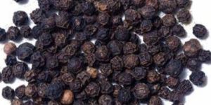 Black Pepper Seed