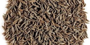 Brown Cumin Seed