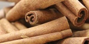 Cinnamon Stick