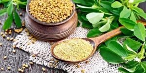 Fenugreek Seed Powder
