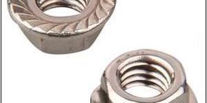 Flange Nut