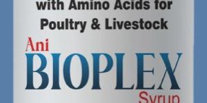 Vitamin B Complex Liquid