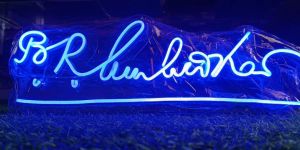 LED Neon Lights
