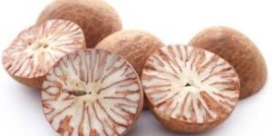 Betel Nuts