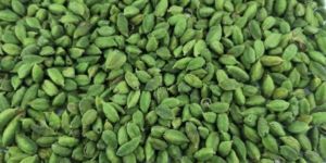 Green Cardamom