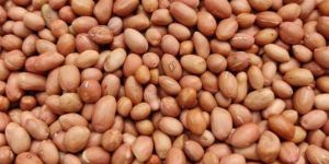 Raw Peanut