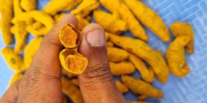 Organic Turmeric Powder