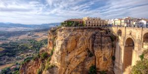 Babool Wood Coal Powder