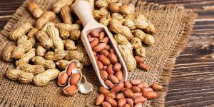 Shelled Peanuts