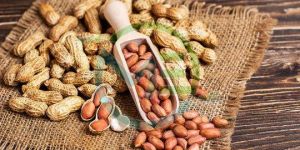 Shelled Peanuts