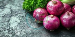 Fresh Red Onion