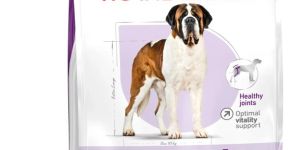 Royal Canin Giant Adult Dog Dry Food