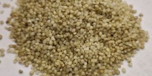 Unpolished Little Millet