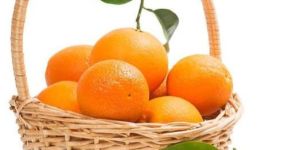 Fresh Oranges