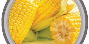Whole Maize
