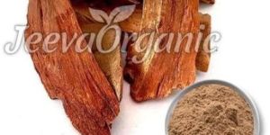 Arjuna Extract Powder 10:1