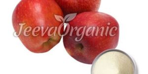 Organic Apple Cider Vinegar Powder