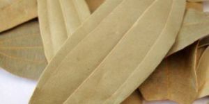 Dried Bay Leaf