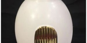 White Ceramic Vase with Textured Gold Accent For Decor