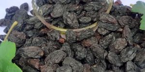 Black Raisin