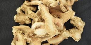 Dry Ginger