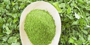 Moringa Leaves