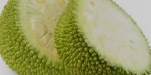 Natural Jackfruit