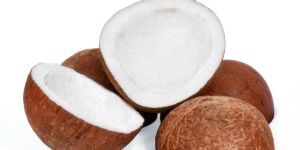 Dry Coconut Copra