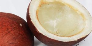 Dry Coconut Copra