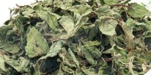 Dehydrated Mint Leaves
