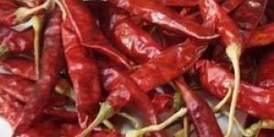 Dry Red Chilli