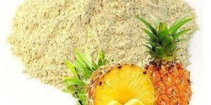 Spray Dried Pineapple Powder