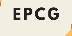 EPCG Issuance License Service