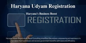 Haryana Udhyam Memorandum Registration Service