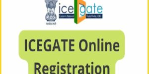 ICEGATE Registration Service