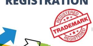 Trademark Registration Service