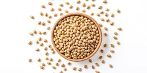 Coriander Seed