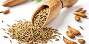 Fennel Seeds