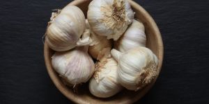 Fresh Garlic