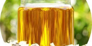 Organic Moringa Seed Oil