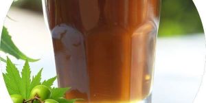 Organic Neem Seed Oil