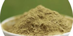 Organic Senna Leaf Powder