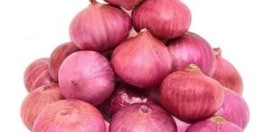 Onion