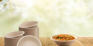 Disposable Paper Bowl